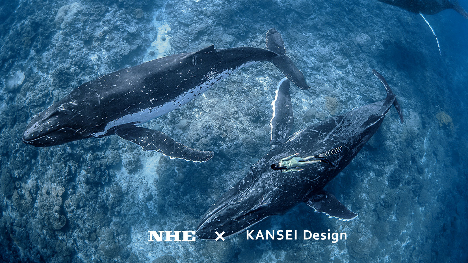 NHE x KANSEI Design