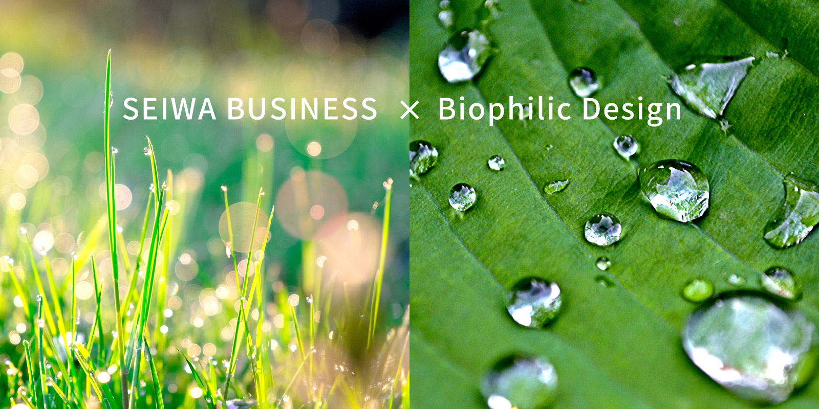 SEIWA BUSINESS × Biophilic Design