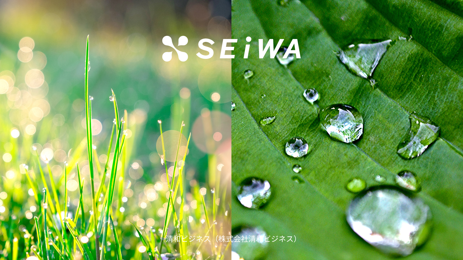 清和ビジネスの画像